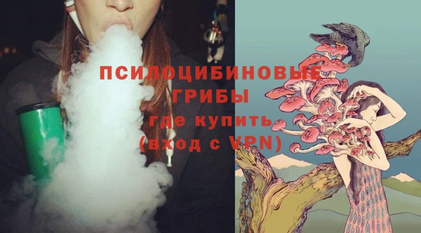 винт Лиски