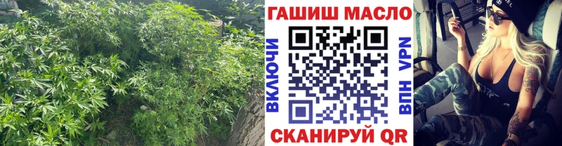 ТГК THC oil  Удачный 