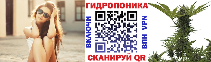 Конопля сатива Удачный